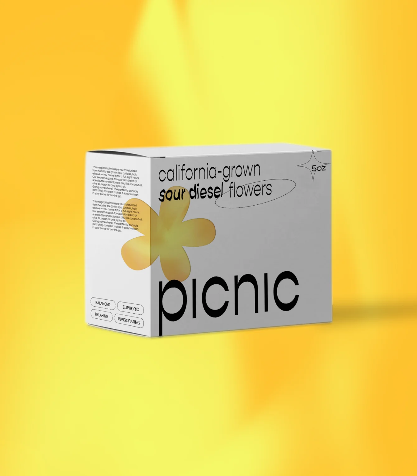 Picnic image 1