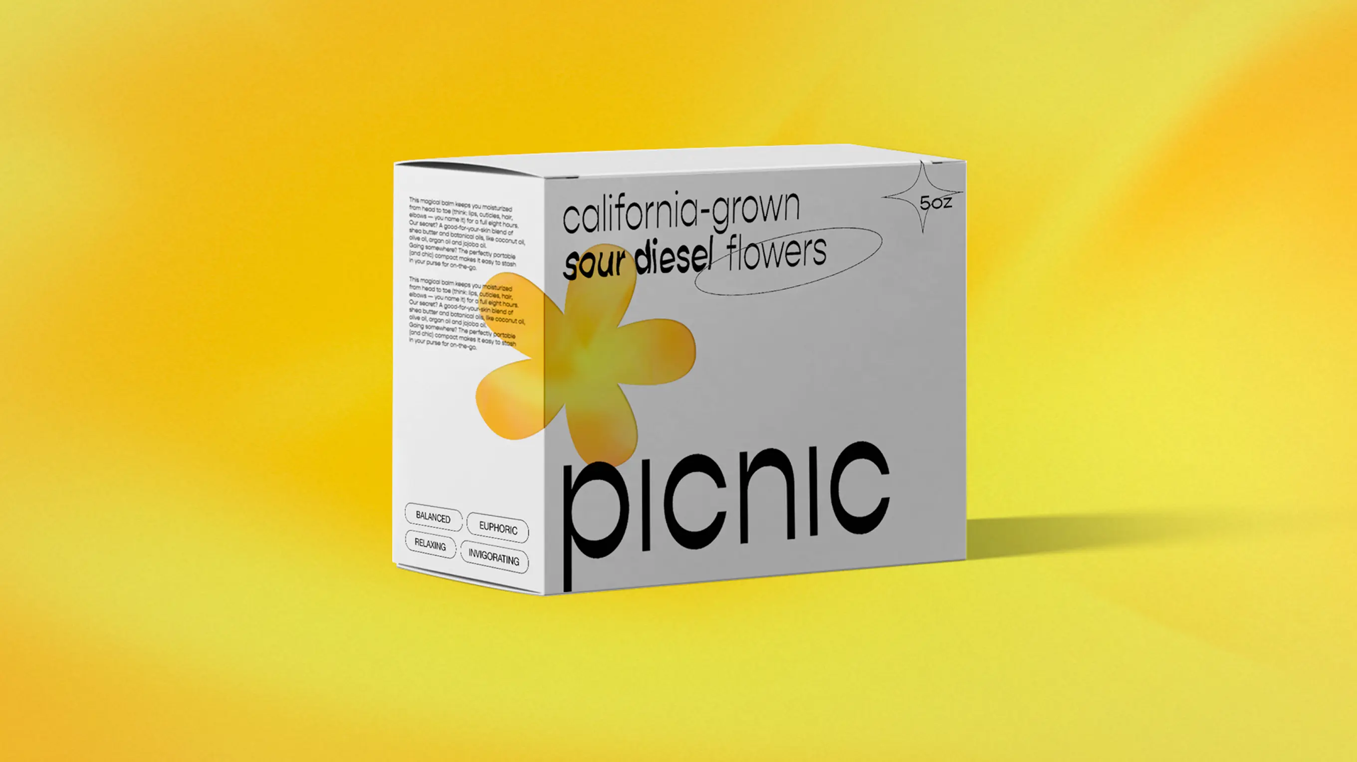 Picnic packaging hero shot